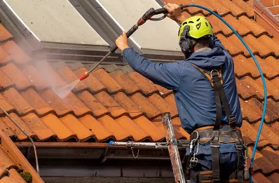 Démoussage et hydrofuge de toiture à Quintenas